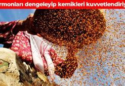 Östrojen hormonunu anında dengeliyor! İster salataya ekleyin ister yoğurda: Kemikleri beton gibi yapıyor