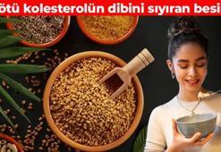 Kötü kolesterolü damardan kazıyıp atıyor! Enfeksiyonun kökünü kazıyor