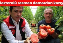 Kilosu 25 TL'ye kadar düştü! Suyunu bardak bardak içince kolesterolü damardan kazıyor, doğanın C vitamini kralı
