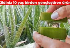 Yüzde 100 doğal nemlendirici! Güneş yanıklarının kökünü kazıyor: Kırışıklık oluşumunu yavaşlatıyor, resmen doğal kalkan