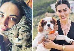 Oyuncu Aslıhan Gürbüz, 350 can dosta yuva oldu