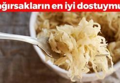 Turşusunu yapıp yiyince faydası 10 kat artıyor! Bağırsakları motor gibi çalıştırıp iltihabı damardan silip atıyor! 30 günde etkisini gösteriyor
