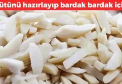 Dünyanın en faydalı kuruyemişi! Magnezyum, antioksidan, protein deposu: Sütünü bulan bardak bardak içiyor