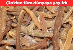 Çin’den tüm dünyaya yayıldı! Kalbin saat gibi çalışmasını sağlıyor: Enerji depolarını fullüyor, buruş buruş damarları saniyesinde genişletiyor