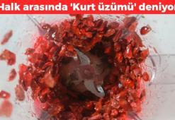 Halk arasında 'Kurt üzümü' deniyor! Japonlar avuç avuç yiyor: Kolesterolü damardan yağ çözücü gibi söküyor, kan şekerini terazi gibi dengeliyor