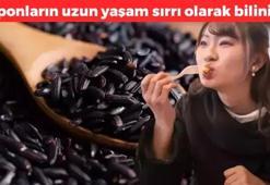 Japonların uzun yaşam sırrı! Pişirip kaşık kaşık tüketin: Vücudu antioksidana doyuruyor, demir, magnezyum, çinko deposu