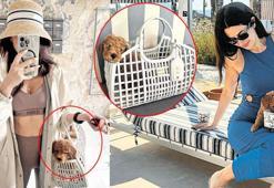 Nesrin Cavadzade köpeğine servet değerinde çanta aldı