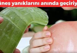 Güneş yanıklarını anında gideriyor! 10 yaş birden gençleştiriyor: Ciltte biriken sebumu söküp atıyor, resmen doğal kalkan görevi görüyor