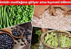 12 hafta süren çalışmanın sonuçları belli oldu! Kolesterolü damardan kazıyıp atıyor, iltihabın kökünü kurutuyor