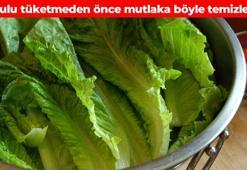 Maruldaki pestisiti saniyeler içinde arındırıyor! Sirke ya da karbonattan 10 kat daha etkili