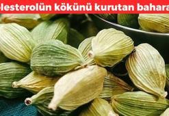 Kolesterolün kökünü kurutuyor! Çayını yapıp bardak bardak için: Damar sertliğini gideriyor