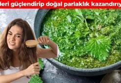 Saç dökülmesini maziye karıştırıyor! Kökleri coşturuyor, saçları halat gibi sağlamlaştırıyor