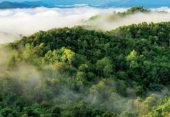 Çölleşmeyi önlemek mümkün!