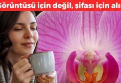 Çayını yapıp bardak bardak için! Tıbbi bir mucize olarak biliniyor: Hormonları terazi gibi dengeliyor, kabızlığı anında gideriyor