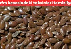 Süzme yoğurdun içine 1 kaşık ekleyin! Safra kesesindeki toksinleri süzgeç gibi süzüyor, tıkalı damarları hortum gibi açıyor