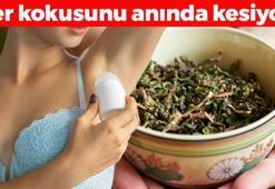 Ter kokusunu bıçak gibi kesiyor! En doğal çözüm: 5 dakika uygulamak yetiyor, roll-on'a tek rakip!