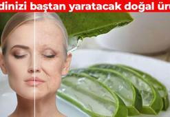 Aloe Verann Cilde Faydalar Haberleri - Son Dakika Gncel Aloe Verann  Cilde Faydalar Haberleri