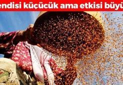 İnek sütünden 10 kat daha faydalı! Kemikleri betona çeviriyor, tıkalı damarları yağ çözücü gibi açıp kalsiyum, demir ve magnezyum depolarını fullüyor!