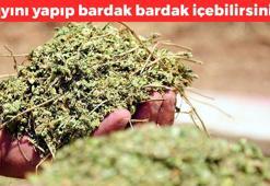 İbrahim Saraçoğlu günde 1 bardak tüketin diyor! Yayladan sofraya gelen şifa: Gaz ve şişkinliğin kökünü kazıyor
