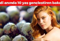 Cildin en doğal mucizesi! 1 damla sürmek yetiyor: Tek gecede 10 yaş gençleştirip kırışıkları santim santim açıyor, lekeleri silgi gibi siliyor!