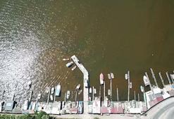 Marmara Denizi için alarm çalıyor! Deniz suyu kahverengiye döndü