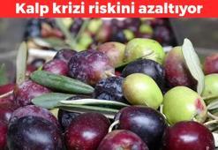 Kalp krizi riskini azaltıyor! Yemeklerinize kaşık kaşık ekleyin: Halk arasında “sıvı altın” olarak biliniyor, kolesterolü dengeliyor