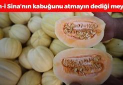 Meyvesini yiyip kabuğunu çöpe atmayın! İbn-i Sina yüzlerce yıl önce önermiş: Böbrekleri diyalizin pençesinden kurtarıyor, ne taş ne de kum bırakıyor!