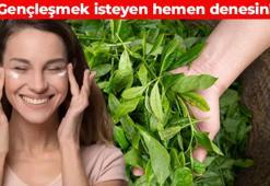 Cilt sağlığının sigortası! Düzenli kullanımda cilde antioksidan yüklüyor: Resmen 10 yaş birden gençleştiriyor