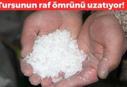 Çankırı'ya özgü lezzet! Turşuyu çıtır çıtır yapıp bozulmasını önlüyor: Raf ömrünü uzatıyor, kalsiyum deposu