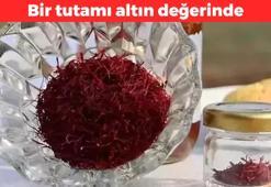 Dünyanın en pahalı baharatı! Bir tutamı her derde deva: Damardaki iltihabı söküp atıyor, vücudu dipçik gibi yapıyor