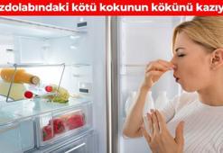 Buzdolabına koyunca kokuyu vakum gibi çekiyor! Haftalarca etkisini gösteriyor: Kaseye koyup rafa yerleştirin