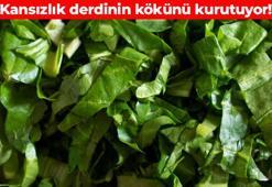 Kemiklere K vitamini yükleyip çelik gibi sağlamlaştırıyor! Demir ihtiyacının yüzde 10'unu karşılıyor, tam bir kan yapıcı besin