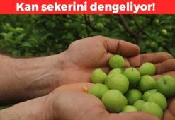 Her gün üç tane yiyebilirsiniz! Diyabet riskini azaltıp insülin seviyesini dengeliyor