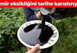 Demir depolarını zirveye taşıyor! Kaşık kaşık yiyince kemikleri betona çevirip anemi riskini engelliyor, kan şekerini dengeliyor!