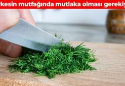 Hücre hasarını önlüyor, kemik yoğunluğunu artırıyor! Solunum yollarını hortum gibi temizliyor