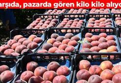 Kan şekeri dalgalanmalarını bıçak gibi kesiyor! Damarları derinlemesine temizliyor, kalbi taş gibi yapıyor