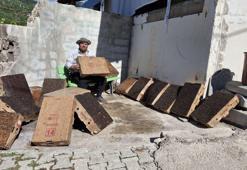 Kartonla binlerce karasineği yakaladı, yöntemi görenleri şaşırttı!