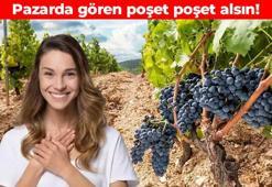 Çekirdeği kolajen üretimini artırıyor! Kendisi küçük şifası büyük: İltihap önleyici etkisi var