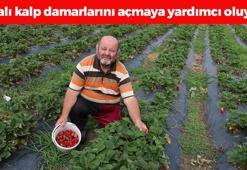 Süper gıda olarak da biliniyor! Tıkalı kalp damarlarını yağ çözücü gibi açıyor, erkenden yaşlanmayı engelliyor!