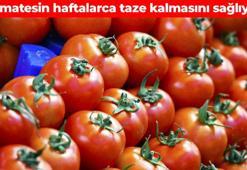 Sprey şişesine koyup domateslere sıkın! Kısa sürede küflenmesini engelleyen yöntem