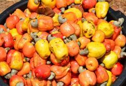 Türkiye'de kıymeti bilinmiyor: B 12 değerlerini anında yükseltiyor, demir depolarını tıka basa dolduruyor