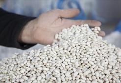 Kuru fasulyenin gazını sıfırlayan yöntem! Suyuna 1 kaşık ekleyin: Gaz ve şişkinliği tarihe karıştırıyor