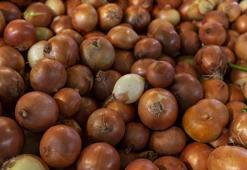 Kilosu 5 TL'ye düştü! Sıcaklıkların 40 dereceyi geçtiği topraklarda hasadı devam ediyor: Kan basıncını düzenliyor, karaciğerdeki toksinlerin kökünü kurutuyor