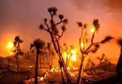 Orman yangınlarından son durum, mahalleler tek tek tahliye ediliyor