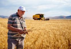 Tarımda büyük tehlike! Çalışan nüfus yaşlanıyor