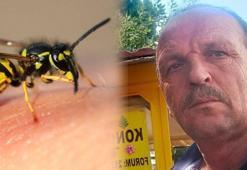 Arı yüzünden hastanelik olan adam hayatını kaybetti