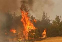 Orman yangınları ile mücadelede son durum! Biri sönerken diğeri başlıyor
