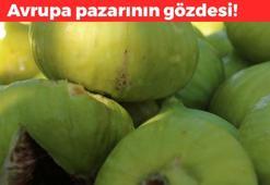 Akdeniz'de yetişiyor ama anavatanı Anadolu! 70 derdin devası: Potasyum, magnezyum ve K vitamini zengini
