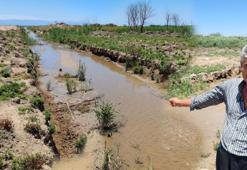 Dereden su içen 15 dakika sonra can verdi! Akılalmaz olay