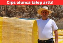 Cips olunca değeri arttı! Çorbayken kimse yüzüne bakmıyor: Doğal probiyotik